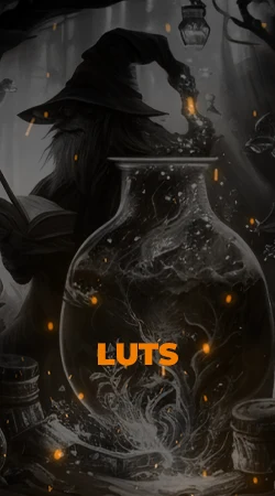 LUTS